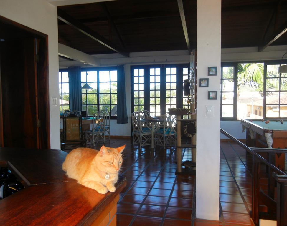 The Cats' House Hotel Florianópolis Exterior foto